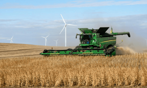 美国办错了一件事，中方取消13.2万吨小麦订单，外交部警告：美方只会引火烧身