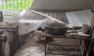 离谱！男子耗资500多万元建造的别墅被邻居强占，地下室养了几十只鸡鸭，警方介入后仍三番五次偷搬东西