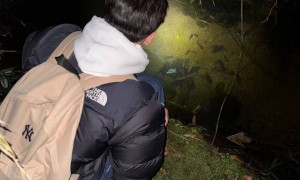 17岁高中生发现新物种括苍山脊蛇，与他人联合发文登上SCI，当事人回应：父母都是普通人，全凭热爱坚持