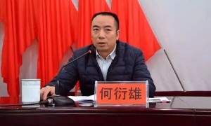 “内鬼”何衍雄,主动投案